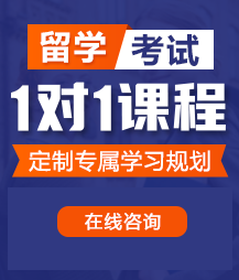 大鸡巴操小逼公开免费视频留学考试一对一精品课